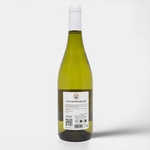 Sauvignon Blanc - Vin Blanc