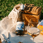 Sauvignon Blanc - Vin Blanc