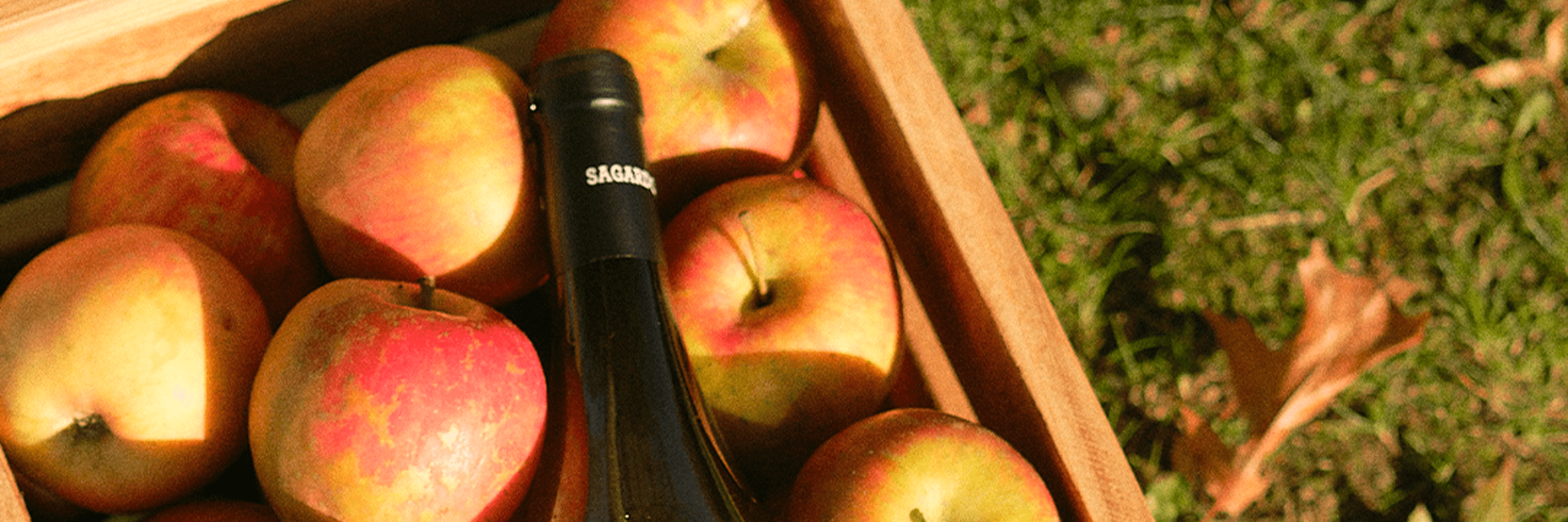 Histoire du cidre basque
