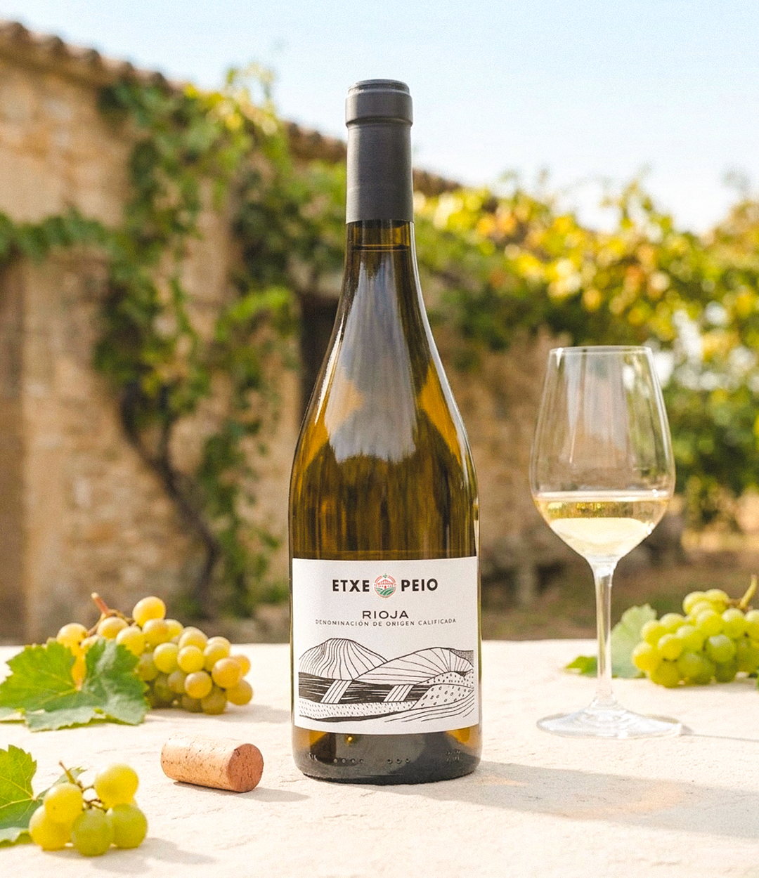 Rioja - Vin blanc