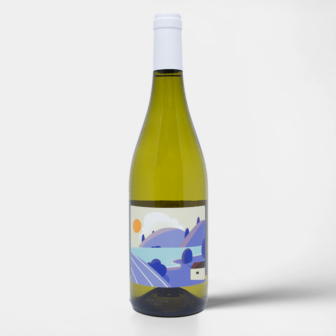Sauvignon Blanc - Vin Blanc